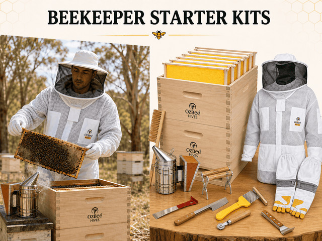 Beekeeper Starter Kits - Ozee beekeeping Supplies