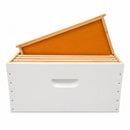 10 Frame FD Single Storey Beehive – Assembled & Painted with Frame Options & Mesh Bottom Board