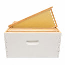 10 Frame FD Single Storey Beehive – Assembled & Painted with Frame Options & Mesh Bottom Board