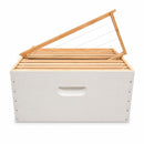 10 Frame FD Single Storey Beehive – Assembled & Painted with Frame Options & Mesh Bottom Board
