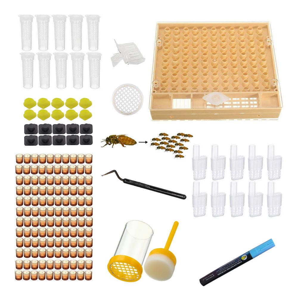 Queen Rearing Flashlight Queen Rearing Kit for Starter Beekeepers | OzBee Australia – Ozee ...